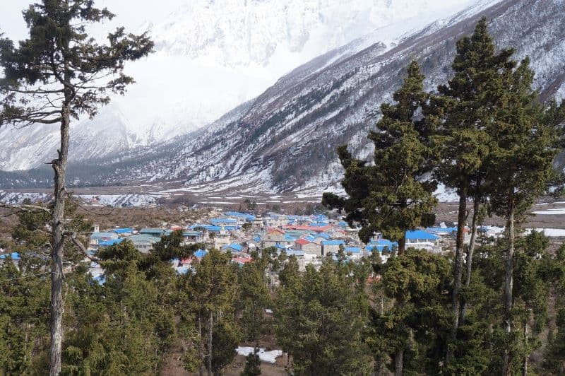 Sama Gaon village in the Manaslu region with blue-roofed houses, pine trees and snowy mountains in winter