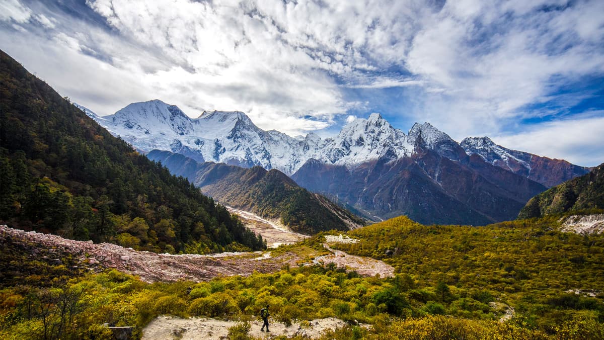 A trekker walking through autumn grass in a wide Manaslu valley below a long line of snow peaks