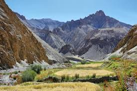 Markha Valley Trek