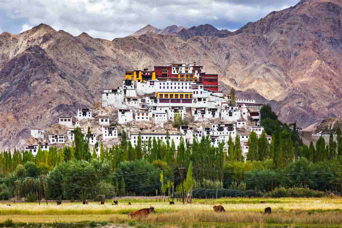 Ladakh Tour