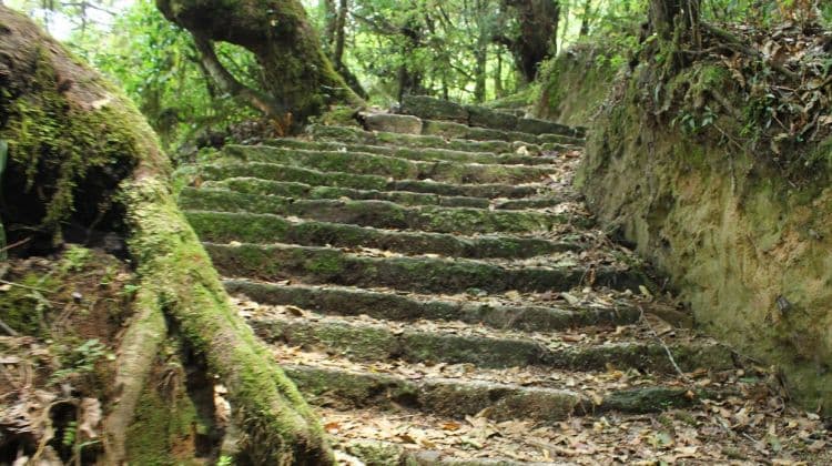 Day Hiking In Nagarjun Hill