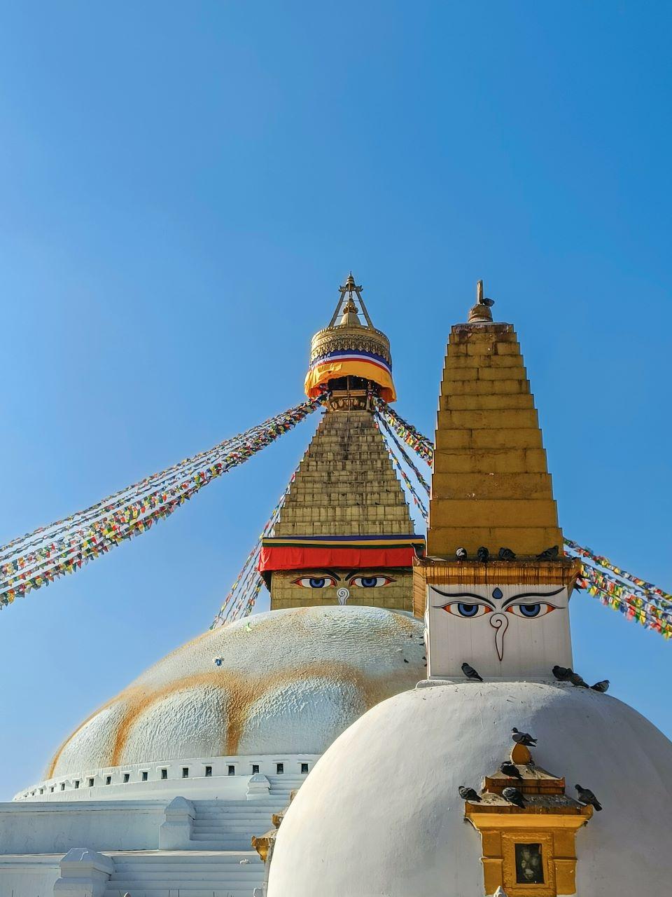 Luxurious Nepal Tour — photo 4