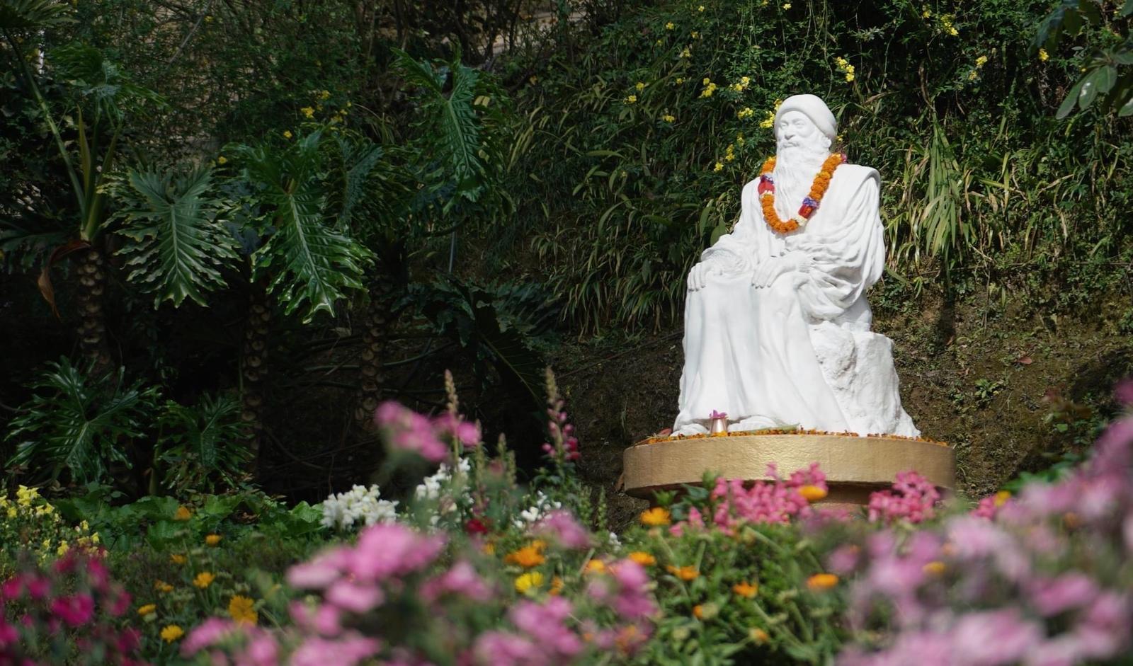 Overnight At Osho Tapoban — photo 3