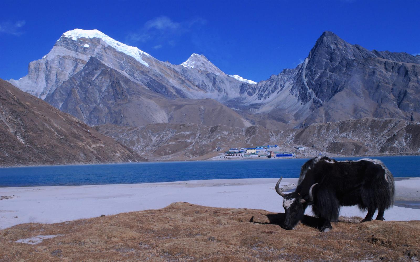 Gokyo Ri Trek — photo 4