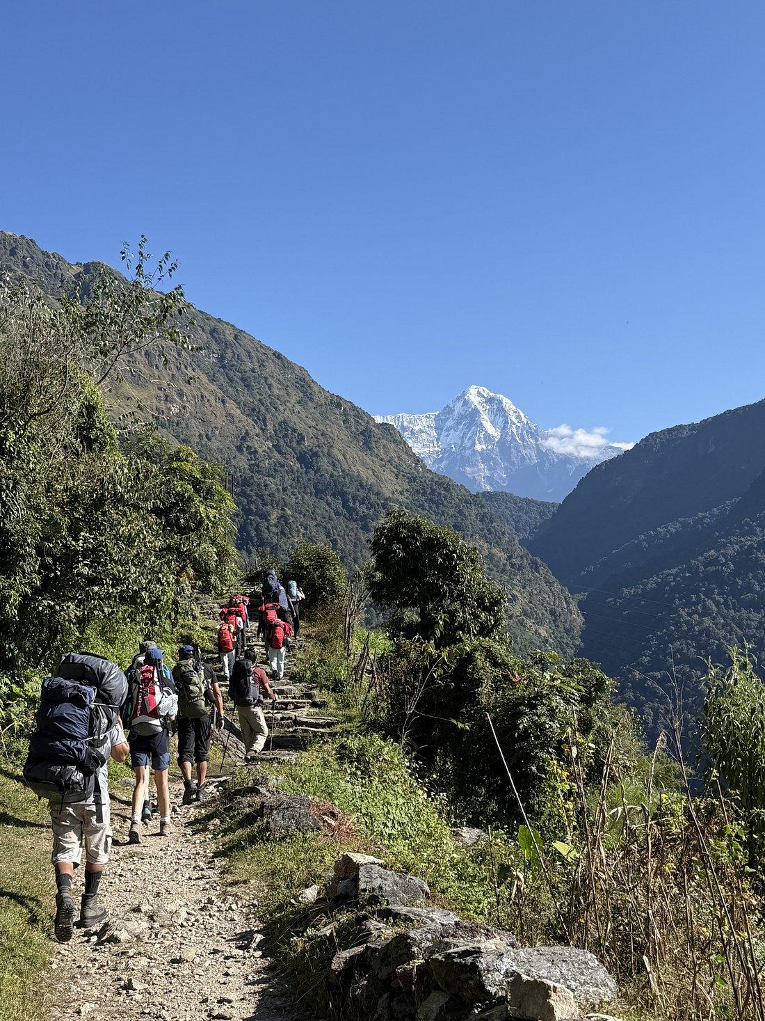 Best Time to Trek in Nepal - The Complete Season-by-Season Guide (2025–2026)