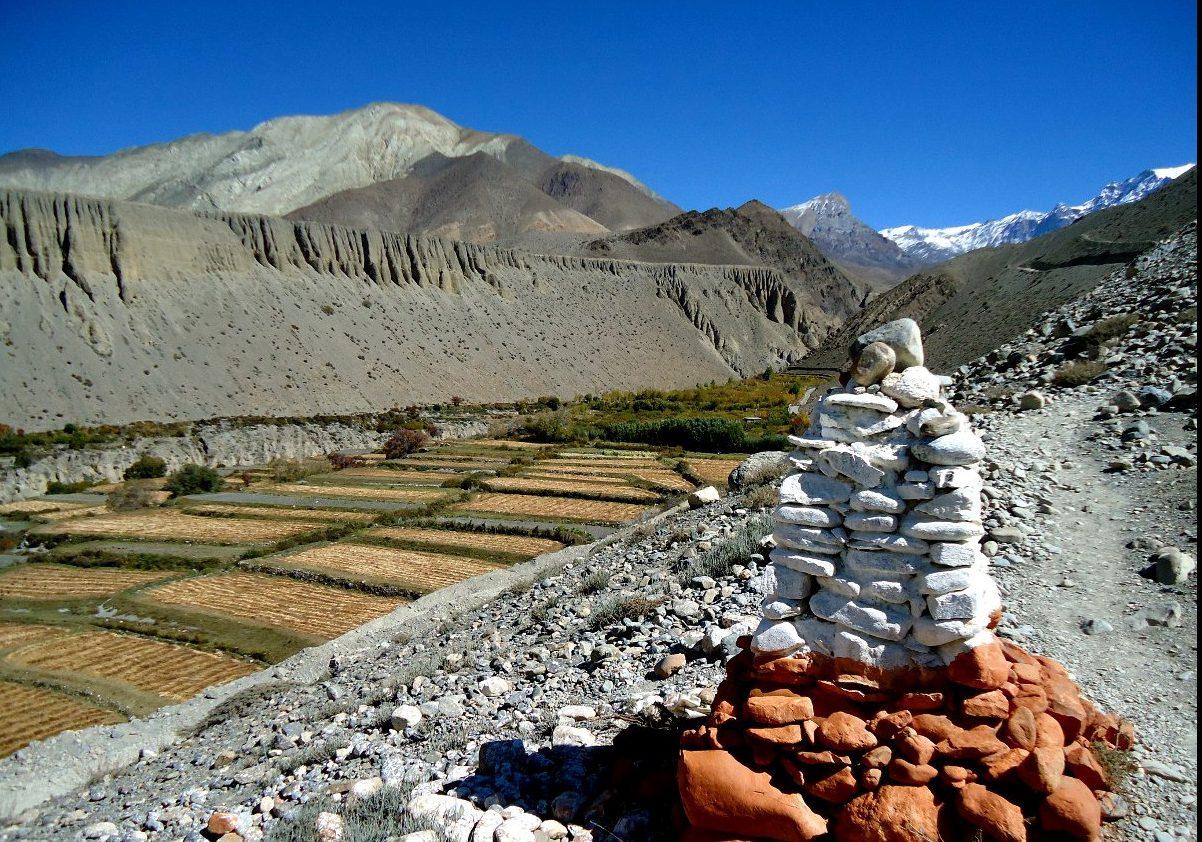 Jomsom Muktinath Tour — photo 6