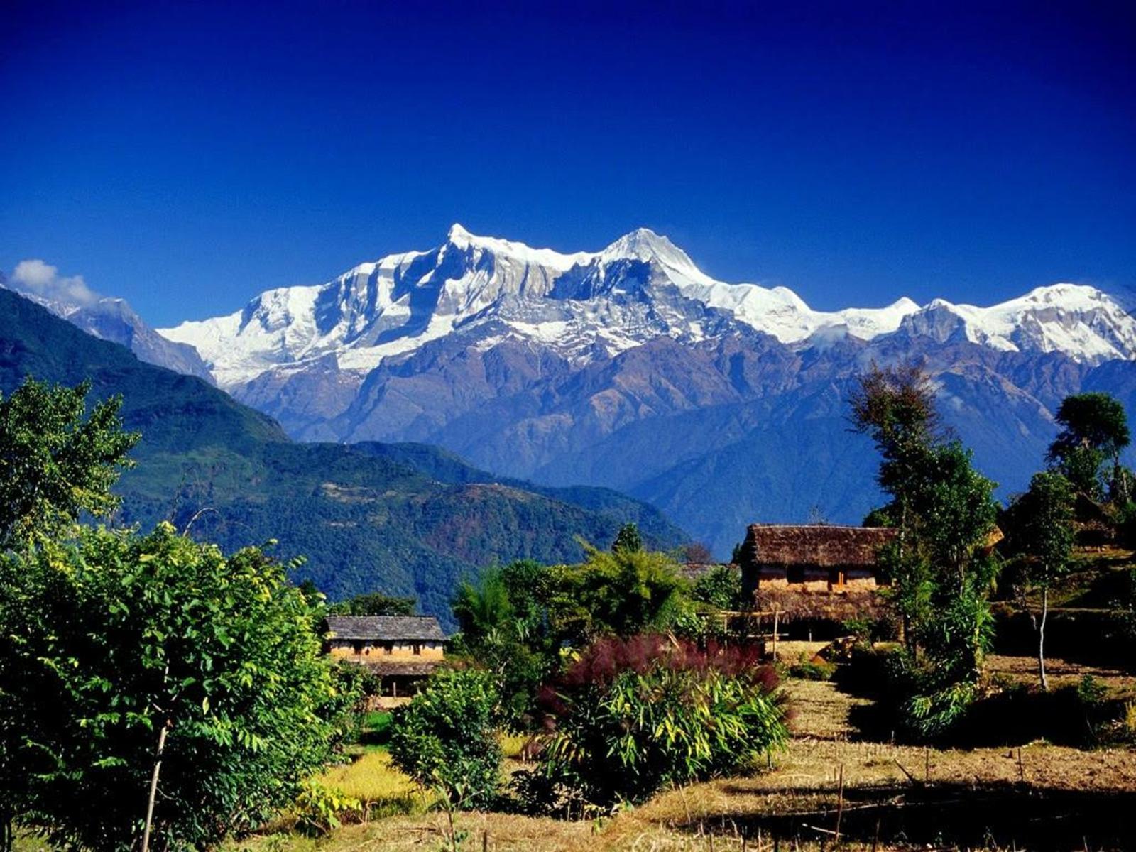 Nepal, Darjeeling and Sikkim Tour — photo 5