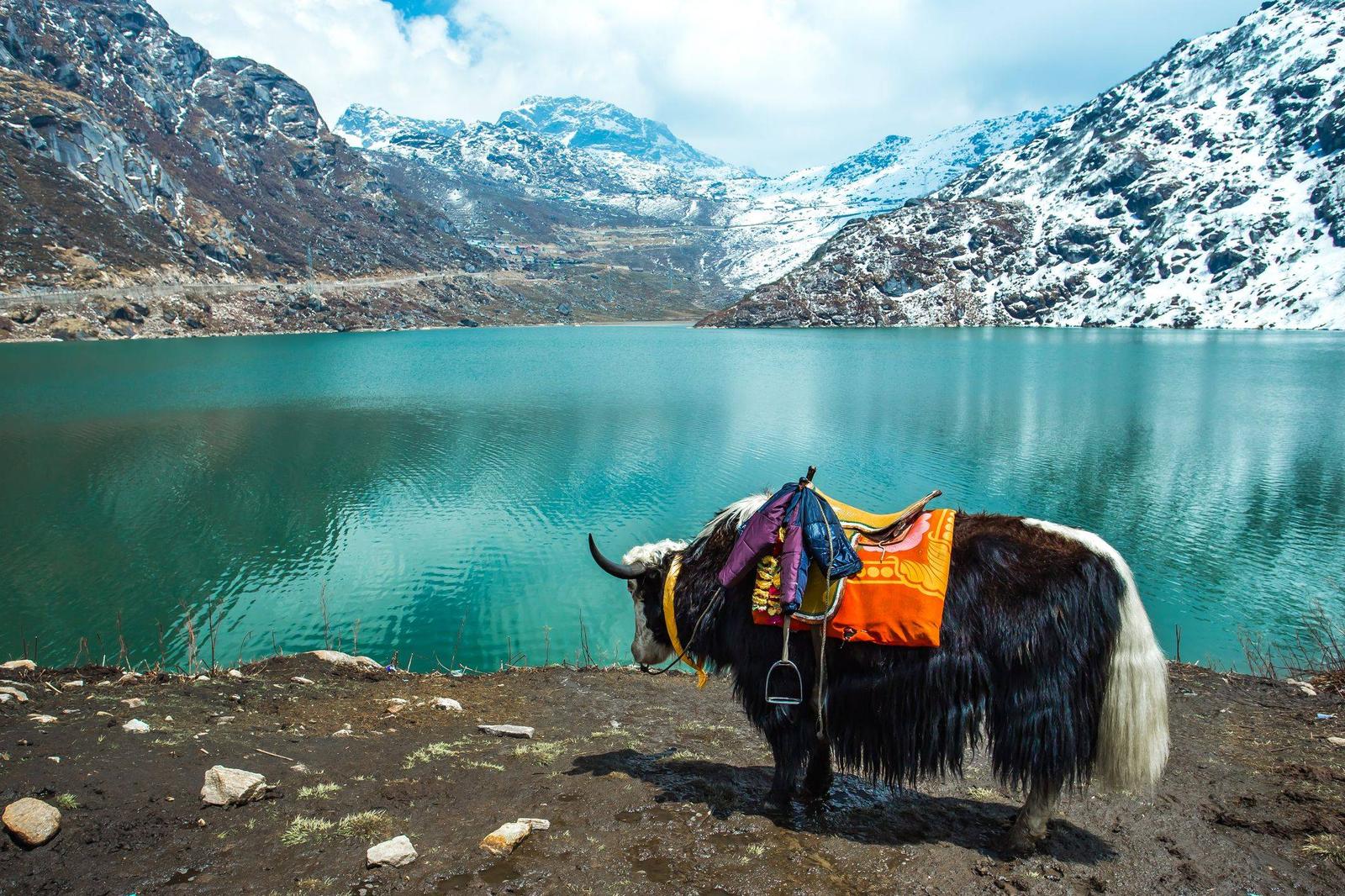 Nepal, Darjeeling and Sikkim Tour — photo 4