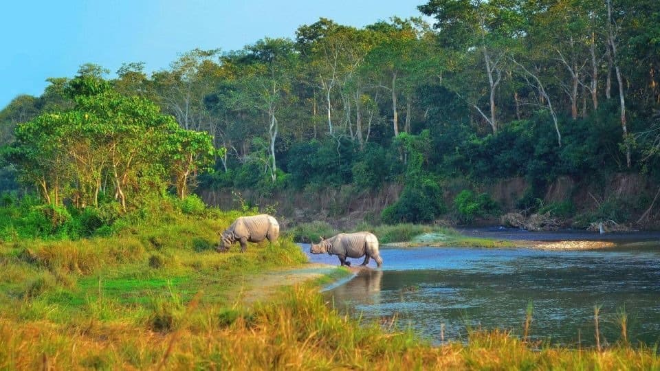 Trishuli River Rafting With Chitwan Tour
