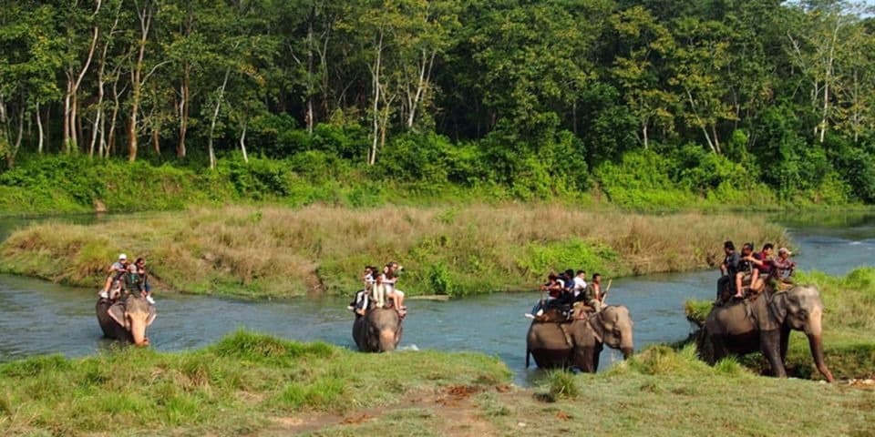 Chitwan Pokhara Tour — photo 3