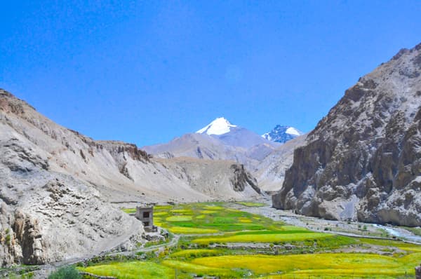 Markha Valley Trek — photo 2
