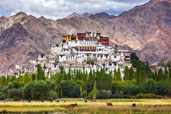 Ladakh Tour — photo 1