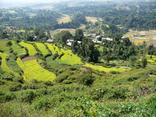 Nagarkot Sunrise Tour with Sallaghari-Changunarayan Hiking — photo 4
