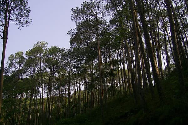Nagarkot Sunrise Tour with Sallaghari-Changunarayan Hiking — photo 1