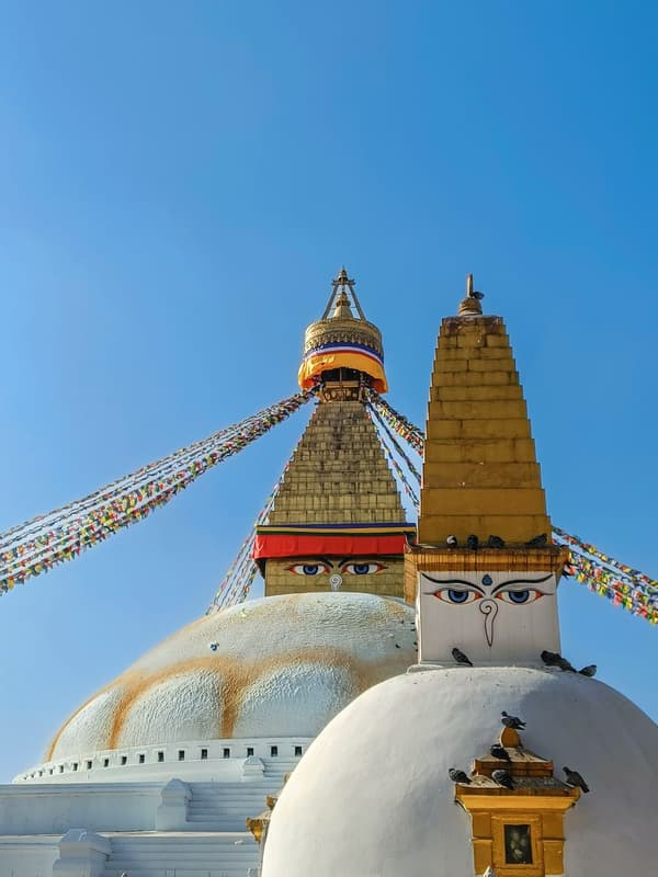Luxurious Nepal Tour — photo 3