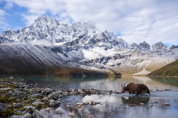 Gokyo Ri & Everest Base Camp Trek — 17 Days | Cost & Itinerary 2026 — photo 3