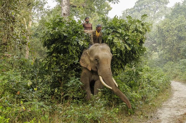 Bardiya National Park β photo 1