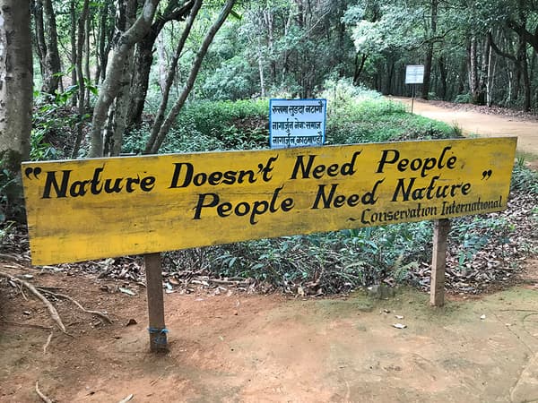Day Hiking In Nagarjun Hill — photo 3
