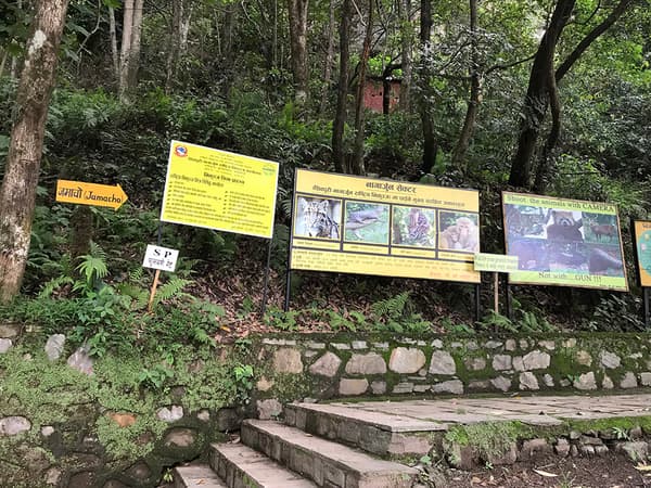 Day Hiking In Nagarjun Hill — photo 2