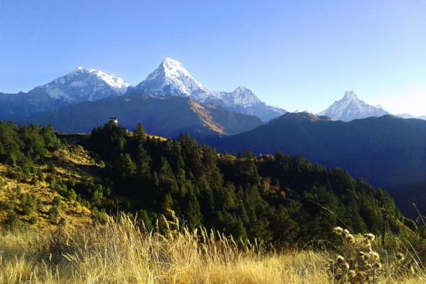 Ghorepani Poon Hill Trek — 9 Days | Cost & Itinerary 2026 — photo 1