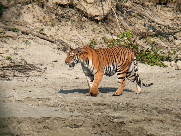 BARDIYA NATIONAL PARK