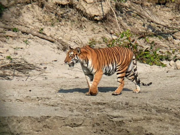 BARDIYA NATIONAL PARK
