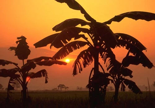 CHITWAN NATIONAL PARK