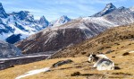 EVEREST BASE CAMP TREK OPERATOR AND AN ULTIMATE GUIDE