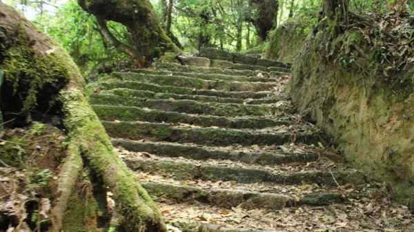 DAY HIKING IN NAGARJUN HILL