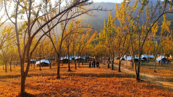 Chitlang, Kulekhani, and Markhu 2-Day Tour