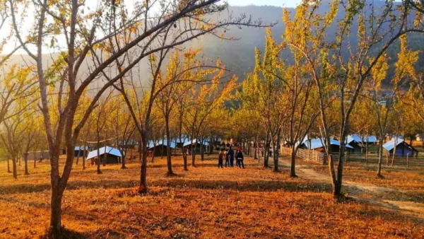 Chitlang, Kulekhani, and Markhu 2-Day Tour