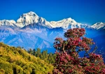 Nagarkot Sunrise Tour with Sallaghari-Changunarayan Hiking