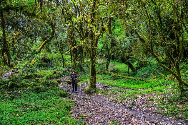 What Should I Know Before Going to Nepal? Answered