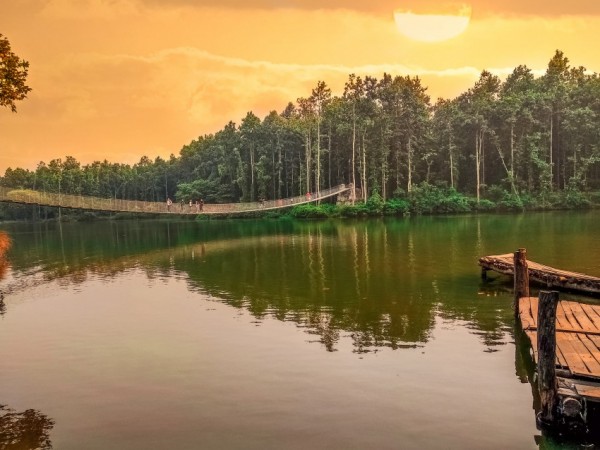 Kathmandu- Pokhara-Chitwan-Jhapa Tour (9 Days)