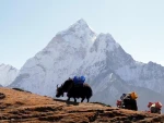 Gokyo Ri And Everest Base Camp Trek