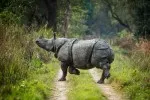 14 Days Budget Nepal Trip
